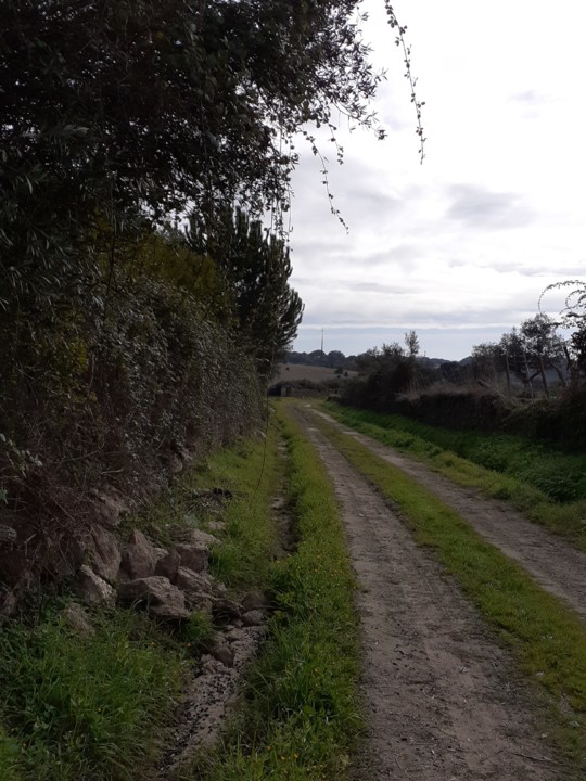 Caminho da Fonte. Foto Original. 2021.12.01.jpg