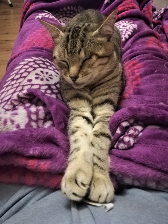 IMG_20201202_184207 6.jpg