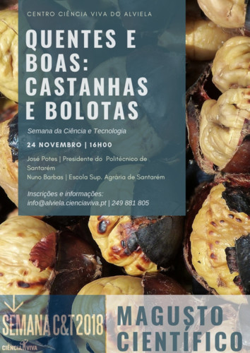 CENTRO CIÊNCIA VIVA DO ALVIELA.jpg