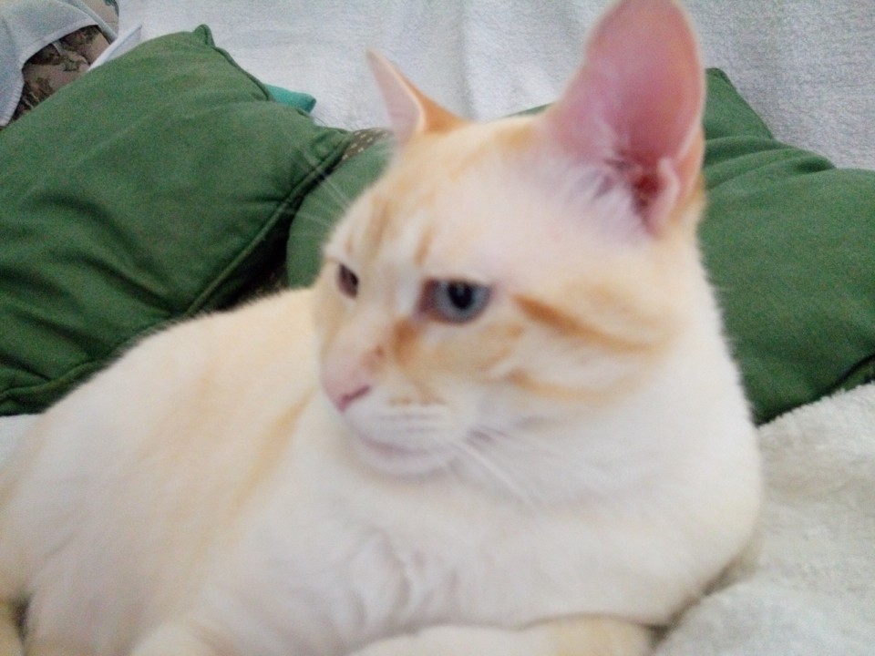 IMG_20200807_154447.jpg IMG_20200807_154447.jpg