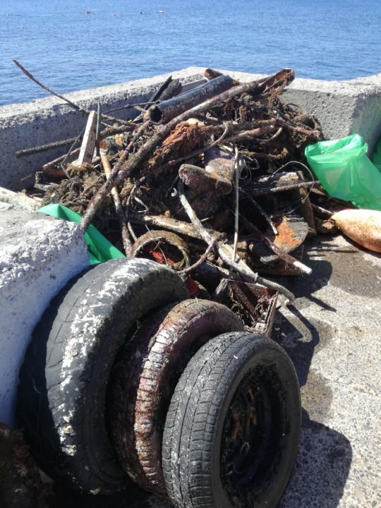 IMG_20190602_113701.jpg IMG_20190602_113701.jpg