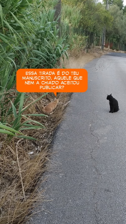 2021-08-15 06-picsay.jpg