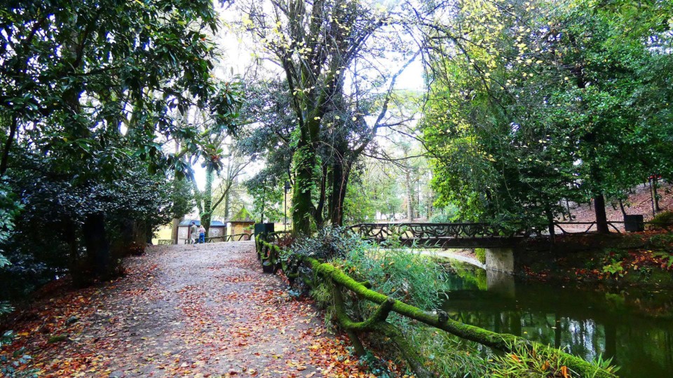 124025637_10218781119254169_6923813481487189479_o.