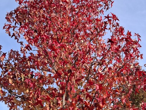 02a_Vale_de_Cambra (45).jpg