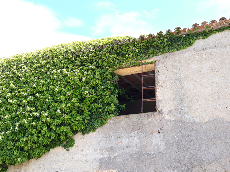 20200612_154411.jpg 20200612_154411.jpg