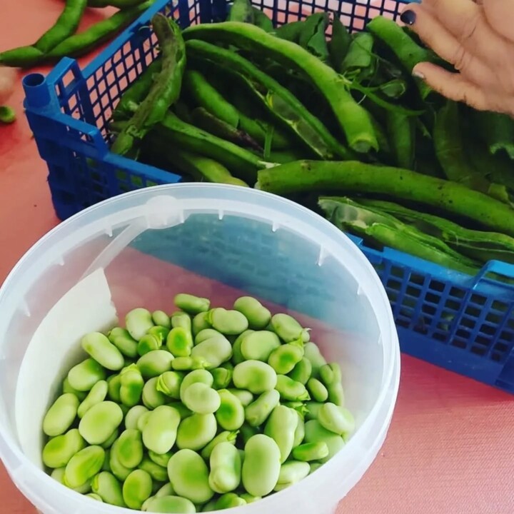 487185448_18469195150066958_7600053701072899631_n.