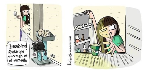 18341843_1516016405076278_3238590324041140948_n.jp