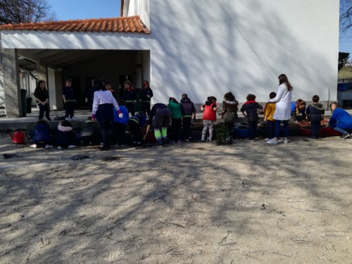 IMG_20180321_151354.jpg IMG_20180321_151354.jpg