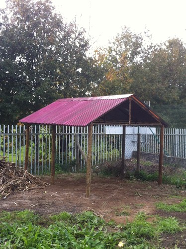 fotografia 3 (3).JPG