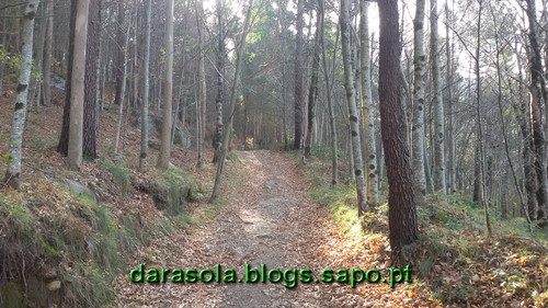 Burgo_08.jpg Burgo_08.jpg