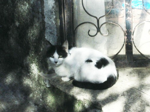 IMG_5383.JPG IMG_5383.JPG