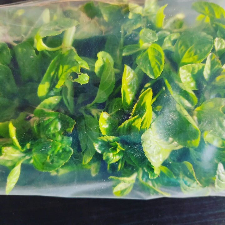 328300205_938159034015992_4795617539933977125_n.jp