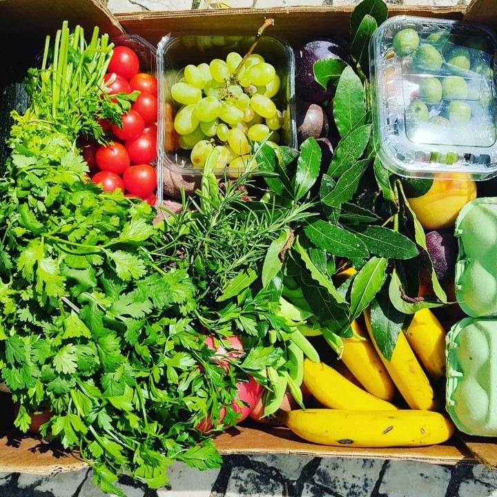 241525764_2116212955185121_8529685387246020248_n.j