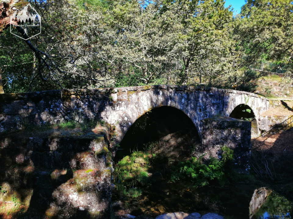 Photo_1598340532048.jpg Photo_1598340532048.jpg