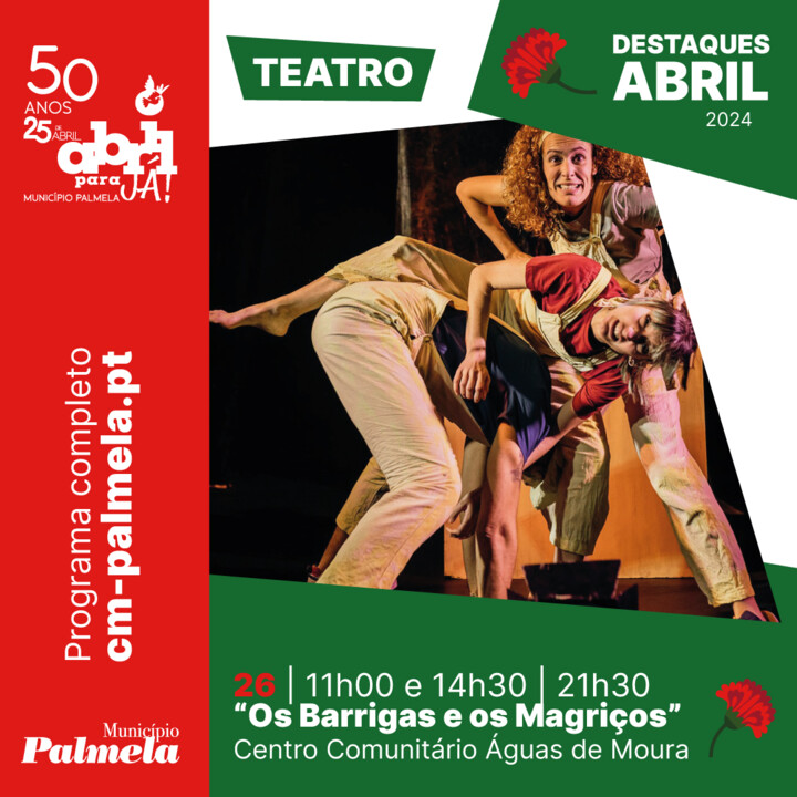 Os Barrigas e os Magriços.jpg