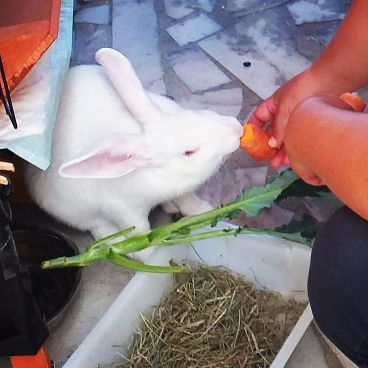 116364522_1771874019619018_3396975170431849575_n.j