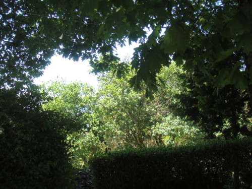 FB46F3AE-ED70-432D-8DED-D0B16D95C0E5-4353-000004DC