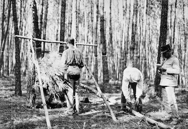 FP_TEMPOS IDOS_P27.jpg