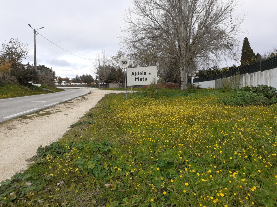 Chegada a Aldeia. Foto Original. 2021.12.01.jpg