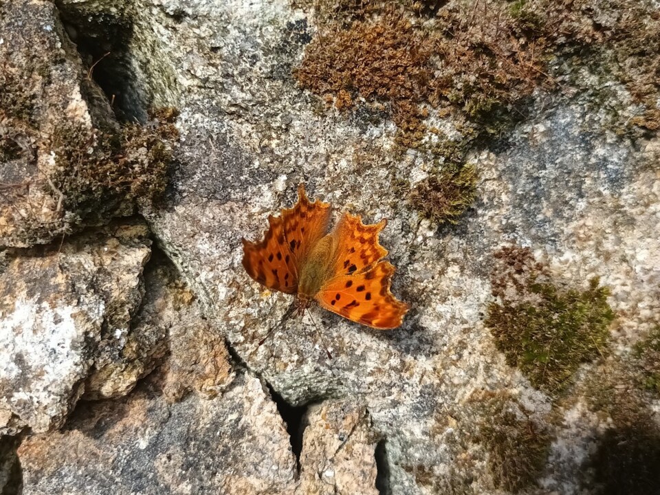 Não me canso disto.JPG