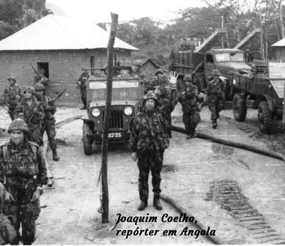 ...A-Coelho, O Chefe manda e tudo obedece....jpg