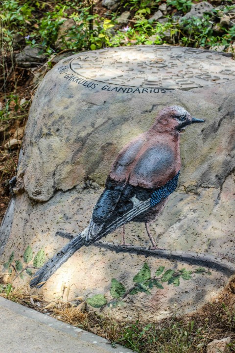 trilho das vinhas-22.jpg