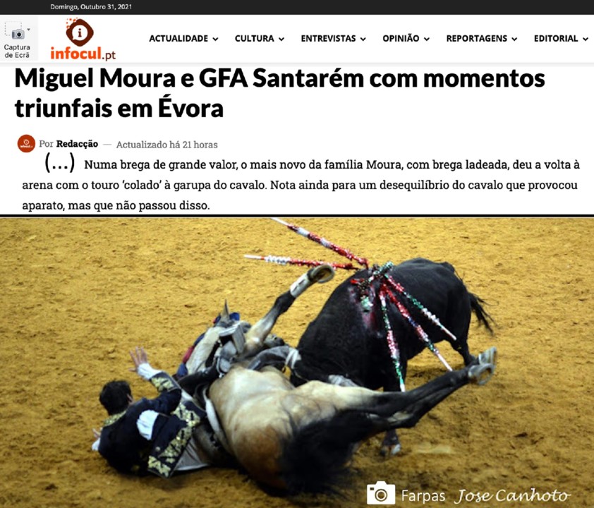 Cavalo ferido em Évora.jpg