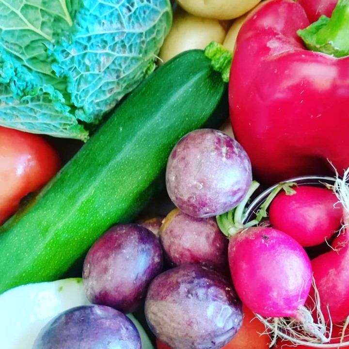 70536257_1466493360157087_6413536992235094016_n.jp