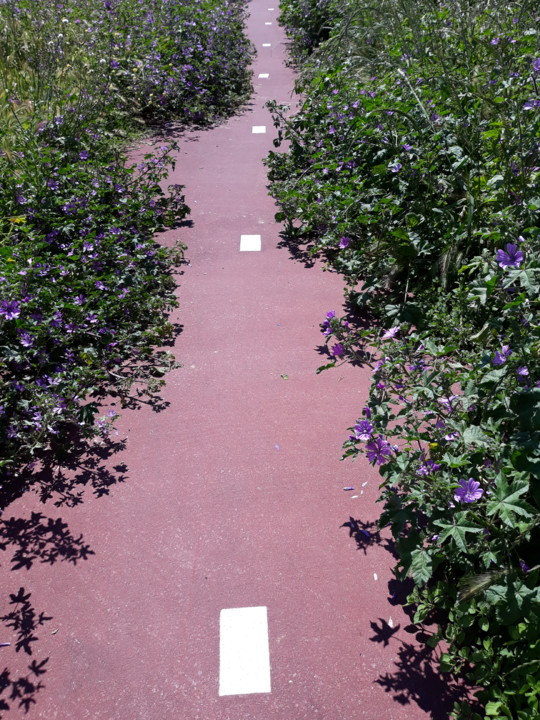 20200516_122047.jpg 20200516_122047.jpg