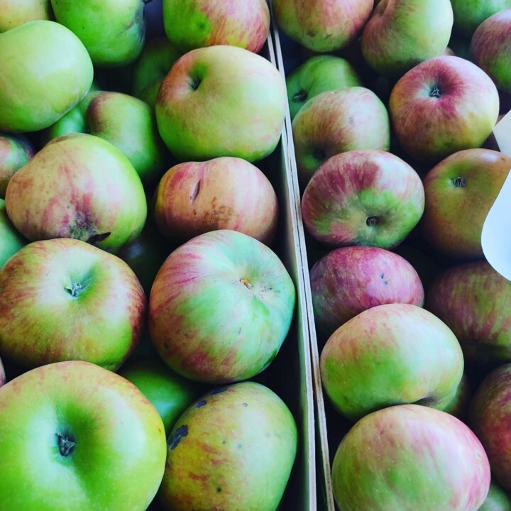 520426417_18489379657066958_1456579096270869773_n.