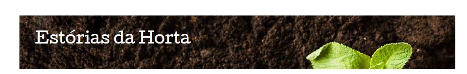 Captura de ecrã 2026-01-07 140159.jpg