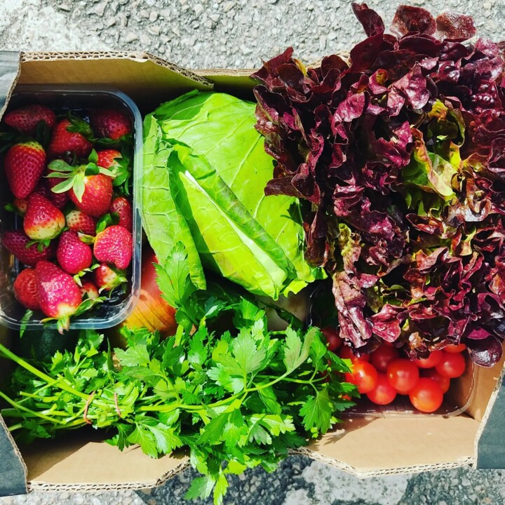 429768832_788505386640207_2704138390922002864_n.jp