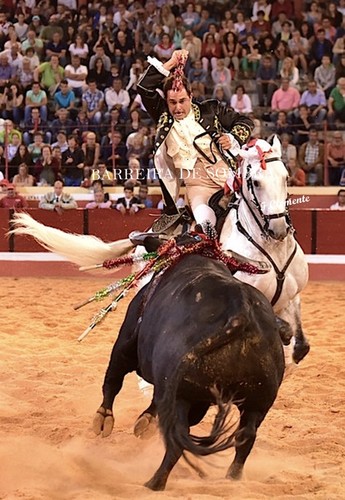 BARREIRA DE SOMBRA14-36-DSC_5381.JPG