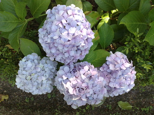 090720162319.jpg