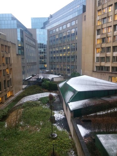 IMG_20160115_092225.jpg IMG_20160115_092225.jpg