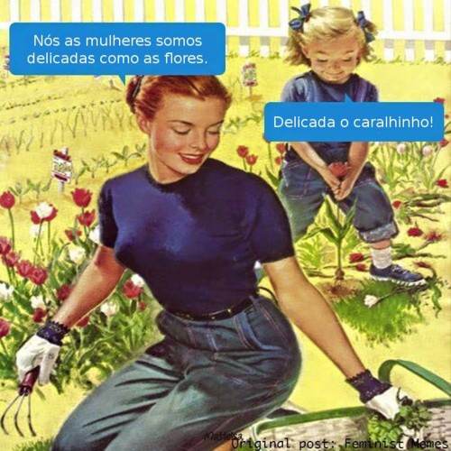 delicada.jpg delicada.jpg