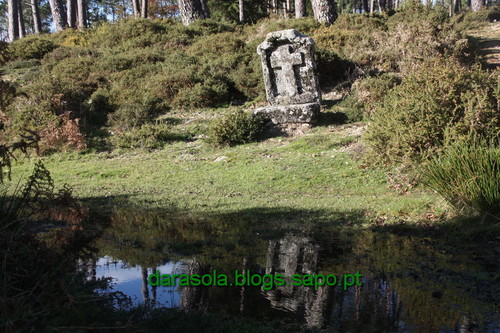 Biodiversidade_Freita_08.JPG Biodiversidade_Freita_08.JPG