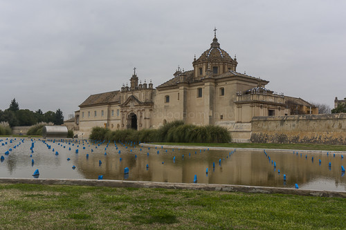 DSC02362.jpg DSC02362.jpg