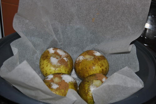 _DSC0242.JPG _DSC0242.JPG