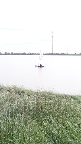 IMG_20150501_111616.jpg IMG_20150501_111616.jpg