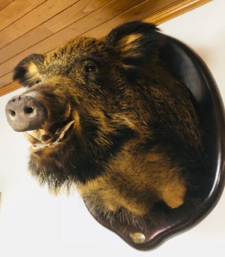 6f0edcde-0274-4f73-94a7-a7a295fc460d.jpg 6f0edcde-0274-4f73-94a7-a7a295fc460d.jpg