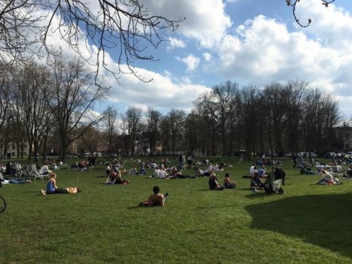 12923344_10207885145360535_6126617679696719643_n.j