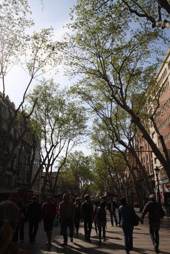 IMG_0158.JPG IMG_0158.JPG