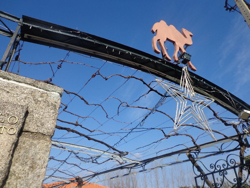 DSC02072.JPG DSC02072.JPG