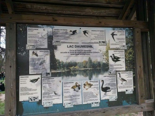 received_808645842558152.jpeg