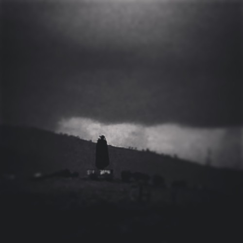 IMG_2828.JPG IMG_2828.JPG