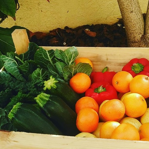 14641918_774310156042081_6492986928059698277_n.jpg 14641918_774310156042081_6492986928059698277_n.jpg