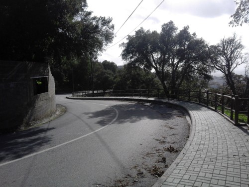 Curvas. Original DAPL. 2017.jpg