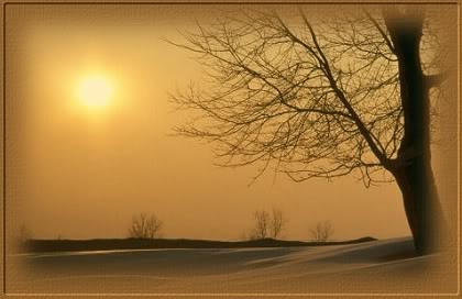 crepusculo