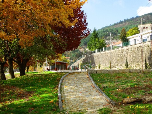 Fotos de Outono !!! 020.jpg